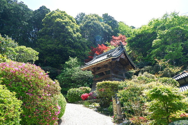 2023_0420４月２０日金剛寺　船0021.JPG