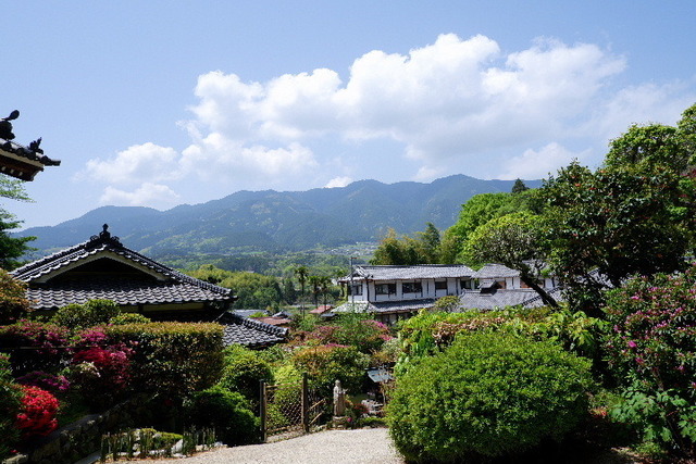 2023_0420４月２０日金剛寺　船0024.JPG