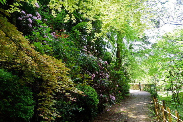 2023_0420４月２０日金剛寺　船0033.JPG