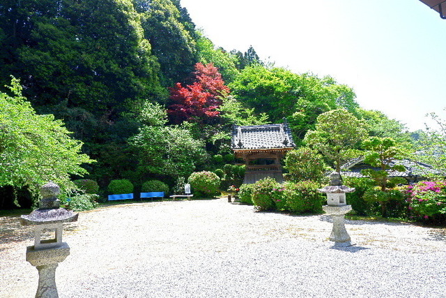 2023_0420４月２０日金剛寺　船0061.JPG