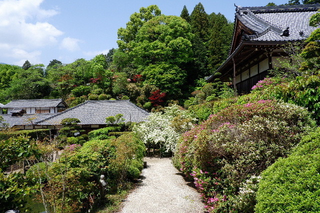 2023_0420４月２０日金剛寺　船0067.JPG