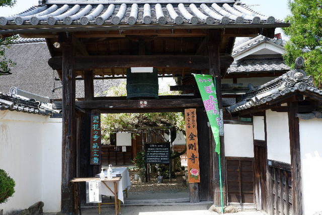 2023_0420４月２０日金剛寺　船0084.JPG
