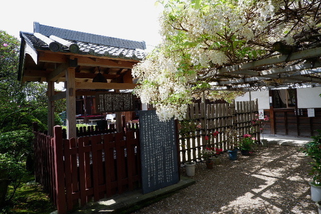 2023_0420４月２０日金剛寺　船0090.JPG