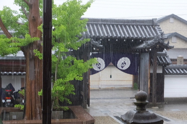 2023_0507５月７日報恩講0026.JPG