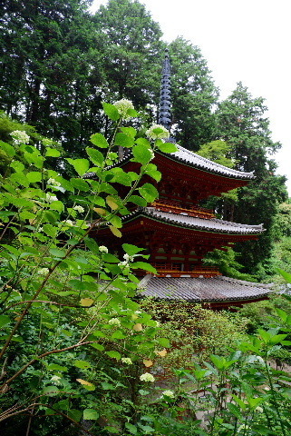 2023_0613６月１３日　岩船寺　0060.JPG
