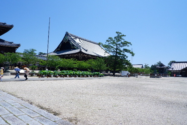 2023_0704７月４日一身田　津0025.JPG