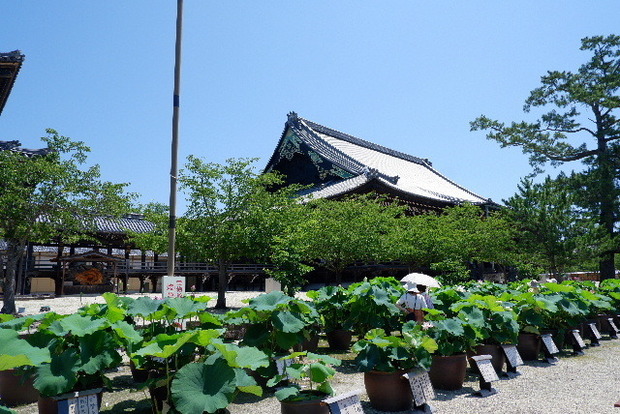 2023_0704７月４日一身田　津0028.JPG
