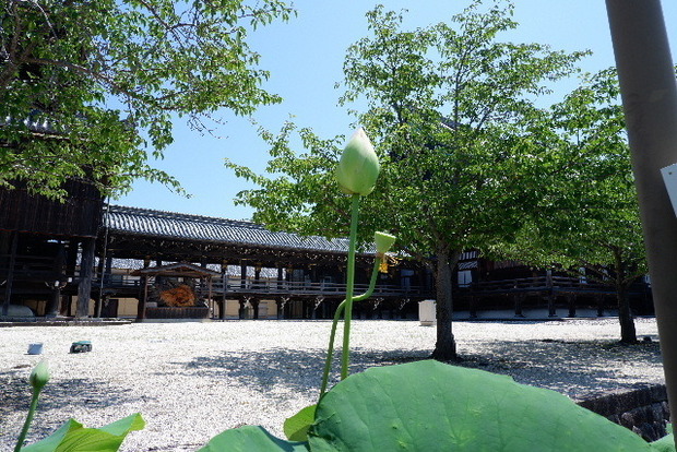 2023_0704７月４日一身田　津0033.JPG