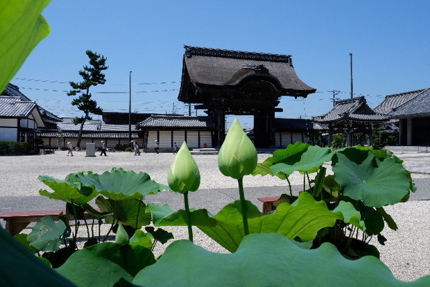 2023_0704７月４日一身田　津0034.JPG