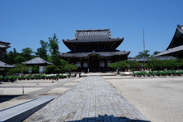 2023_0704７月４日一身田　津0096.JPG