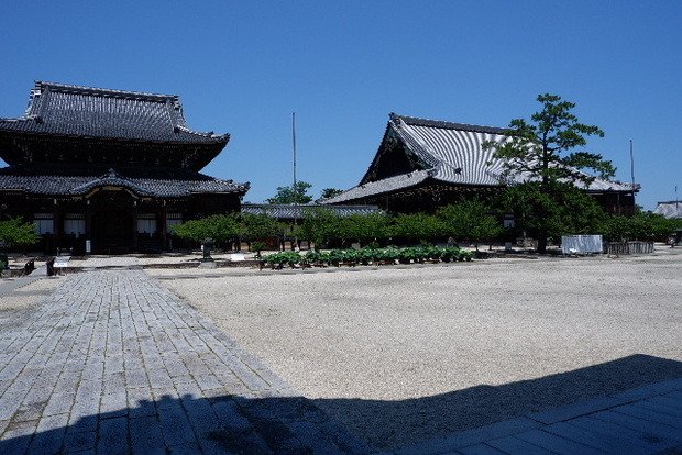 2023_0704７月４日一身田　津0099.JPG