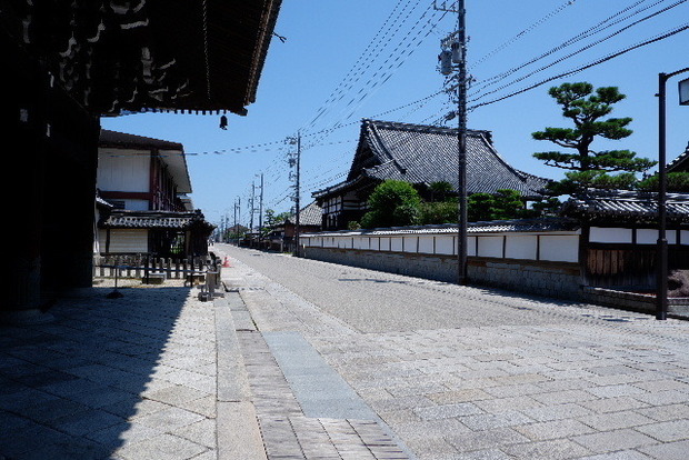 2023_0704７月４日一身田　津0108.JPG