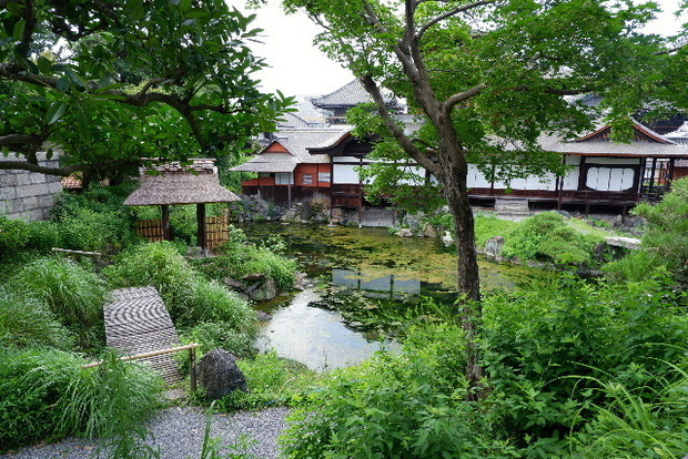 2023_0711７月１０日念佛奉仕0145.JPG
