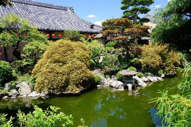2023_0721７月２０日お房観音0005.JPG