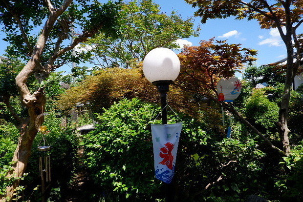 2023_0721７月２０日お房観音0009.JPG