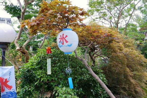 2023_0721７月２０日お房観音0013.JPG