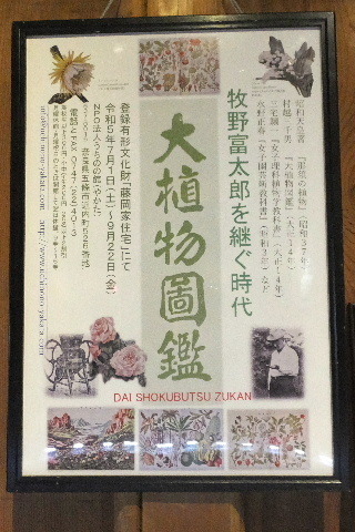 2023_0907２０２３」９月７日五0026.JPG