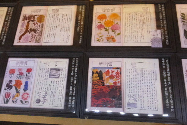 2023_0907２０２３」９月７日五0041.JPG