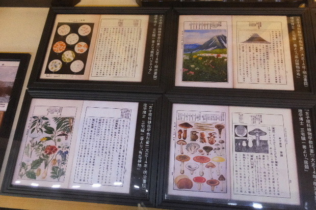 2023_0907２０２３」９月７日五0042.JPG