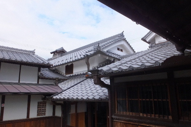 2023_0907２０２３」９月７日五0046.JPG