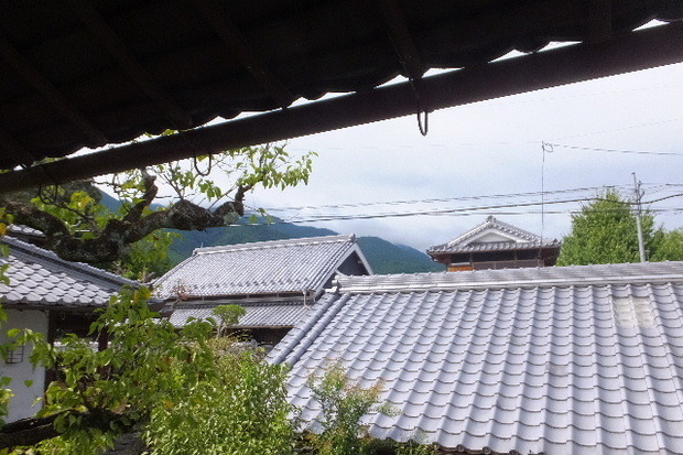 2023_0907２０２３」９月７日五0069.JPG