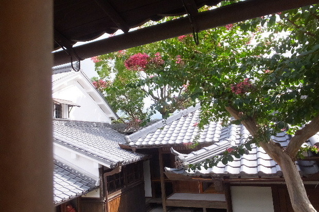 2023_0907２０２３」９月７日五0071.JPG