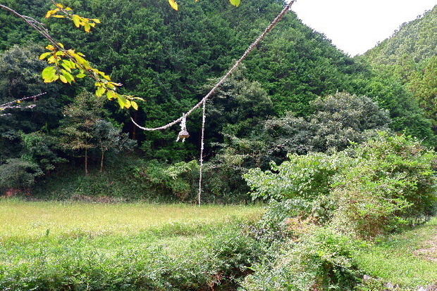 2023_1003１０月３日明日香0037.JPG