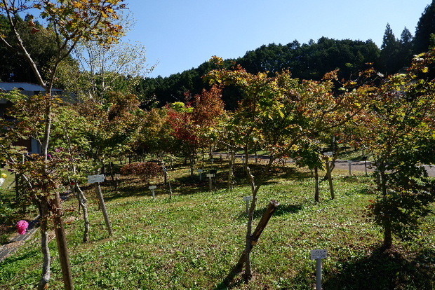 2023_101923年10月19ひららに郷0008.JPG
