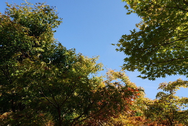 2023_101923年10月19ひららに郷0020.JPG