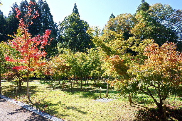 2023_101923年10月19ひららに郷0045.JPG