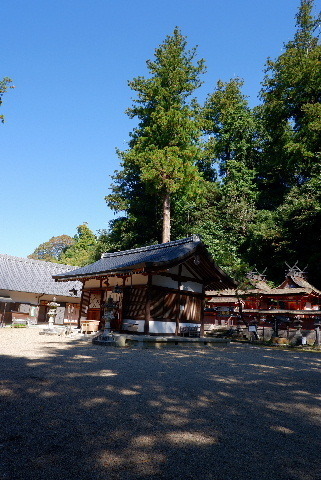 2023_101923年10月19ひららに郷0075.JPG