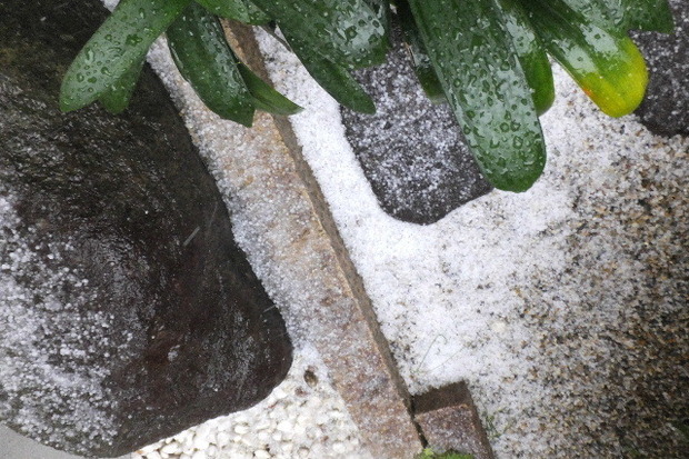 2023_1118雹0013.JPG