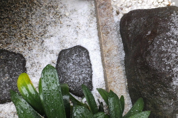 2023_1118雹0017.JPG
