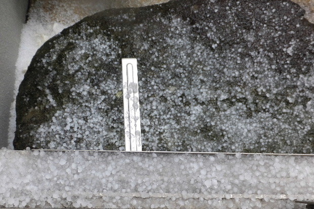 2023_1118雹0020.JPG