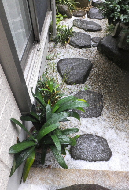 2023_1118雹0022.JPG