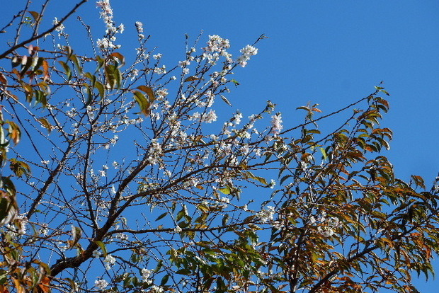 2023_112211220005.JPG