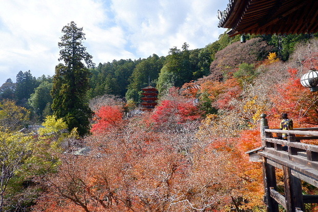 2023_1130長谷寺１１．３０紅葉0083.JPG