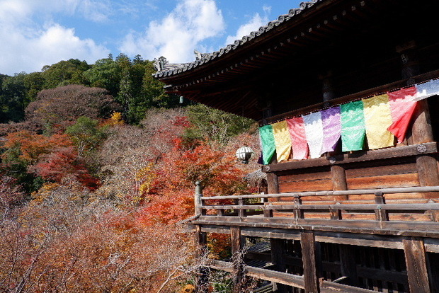 2023_1130長谷寺１１．３０紅葉0087.JPG
