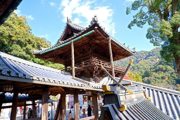 2023_1130長谷寺１１．３０紅葉0099.JPG