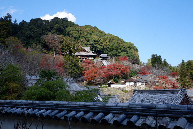 2023_1130長谷寺１１．３０紅葉0105.JPG
