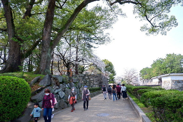 2024_0402２４年４月２日名古屋0045.JPG