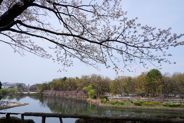2024_0402２４年４月２日名古屋0214.JPG