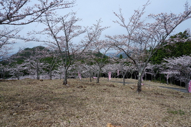 2024_0406２４年４月６日宇陀内0012.JPG