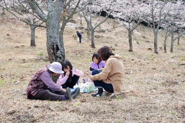 2024_0406２４年４月６日宇陀内0026.JPG
