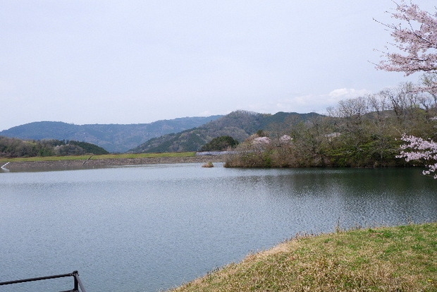 2024_0406２４年４月６日宇陀内0152.JPG