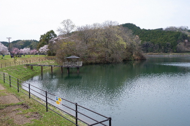2024_0406２４年４月６日宇陀内0159.JPG