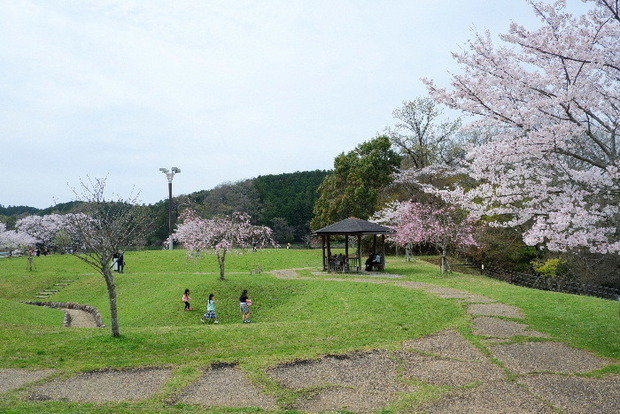 2024_0406２４年４月６日宇陀内0174.JPG