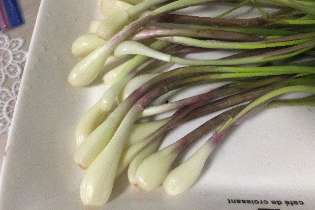 2024_0516山菜0009.JPG