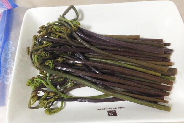 2024_0516山菜0011.JPG
