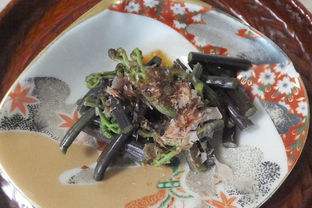 2024_0516山菜0019.JPG